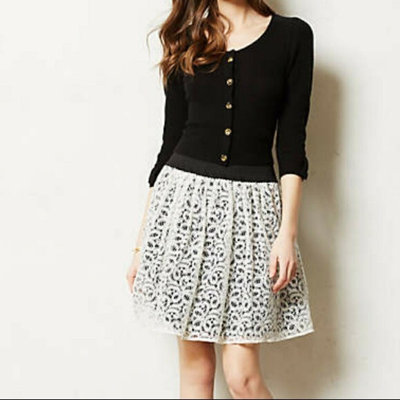 Anthropologie Dresses & Skirts - HD in Paris Lace Circle Skirt